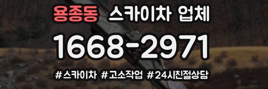 용종동 스카이차 업체