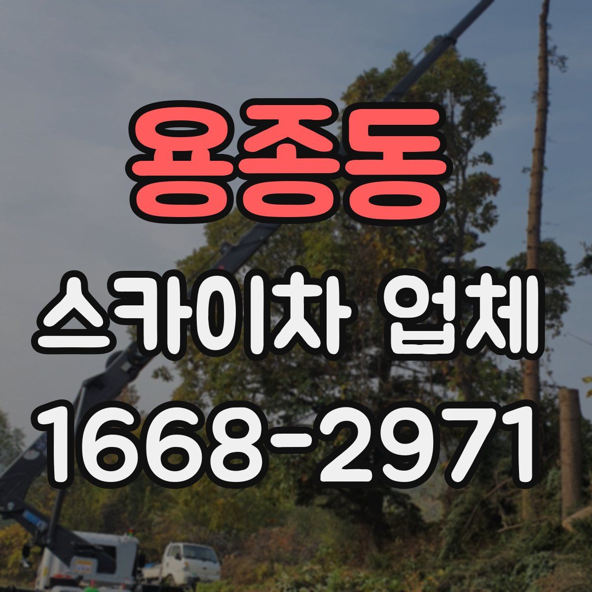 용종동 스카이차 업체
