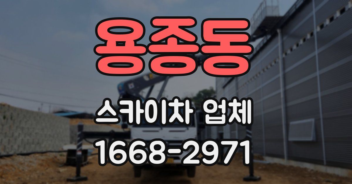 용종동 스카이차 업체