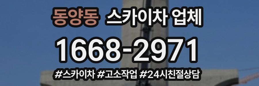 동양동 스카이차 업체