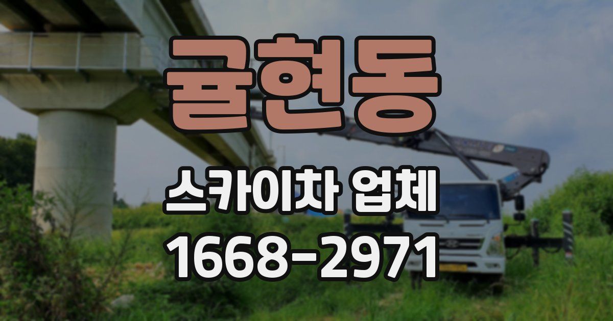 귤현동 스카이차 업체