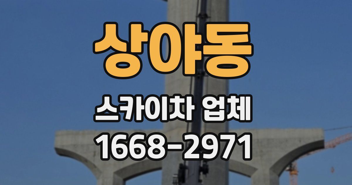 상야동 스카이차 업체