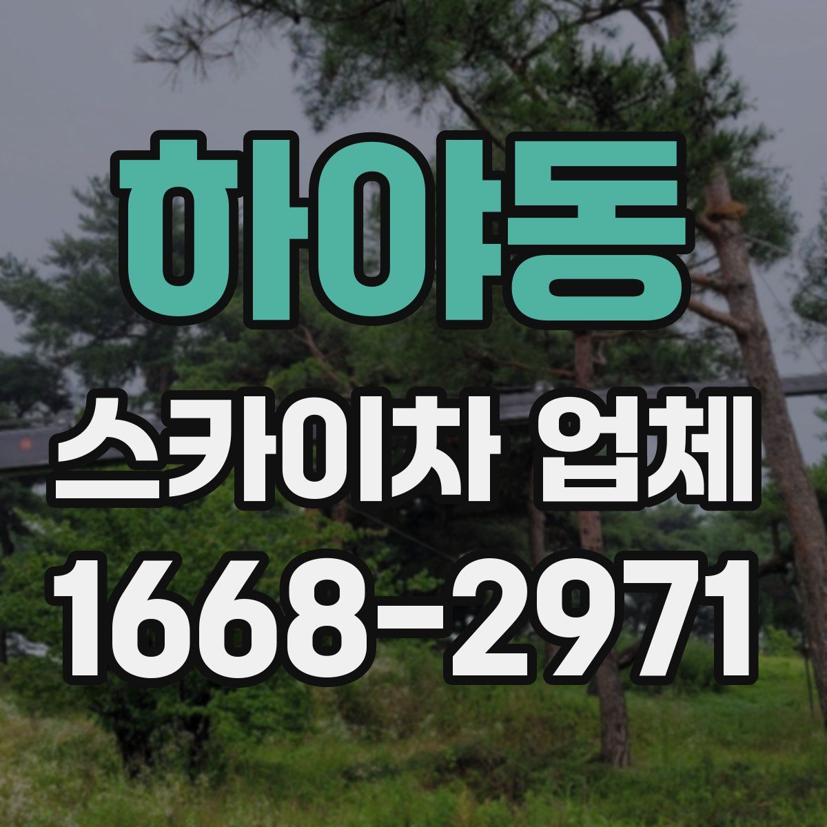 하야동 스카이차 업체