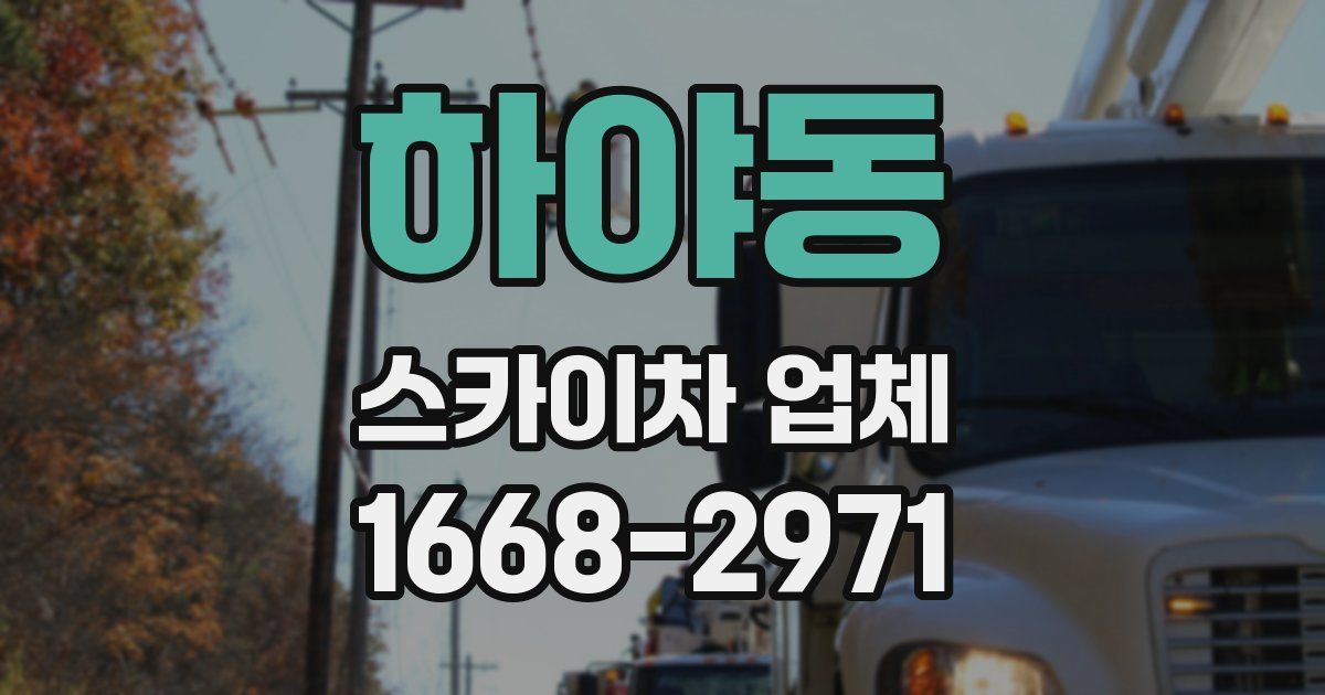 하야동 스카이차 업체