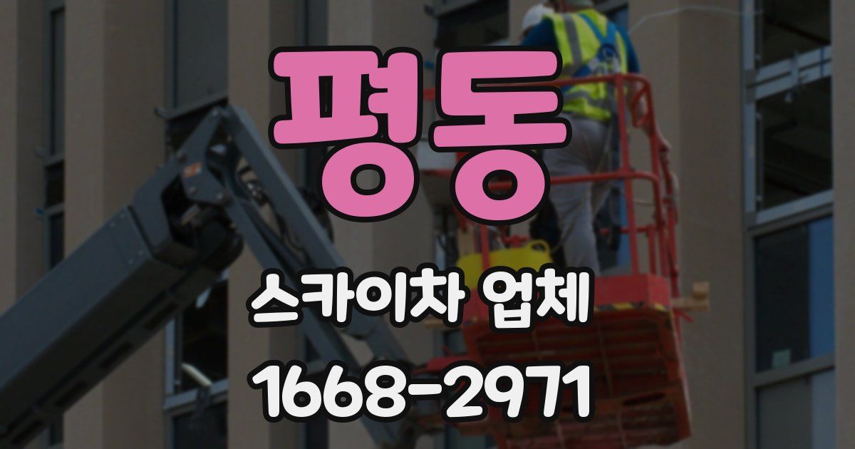 평동 스카이차 업체