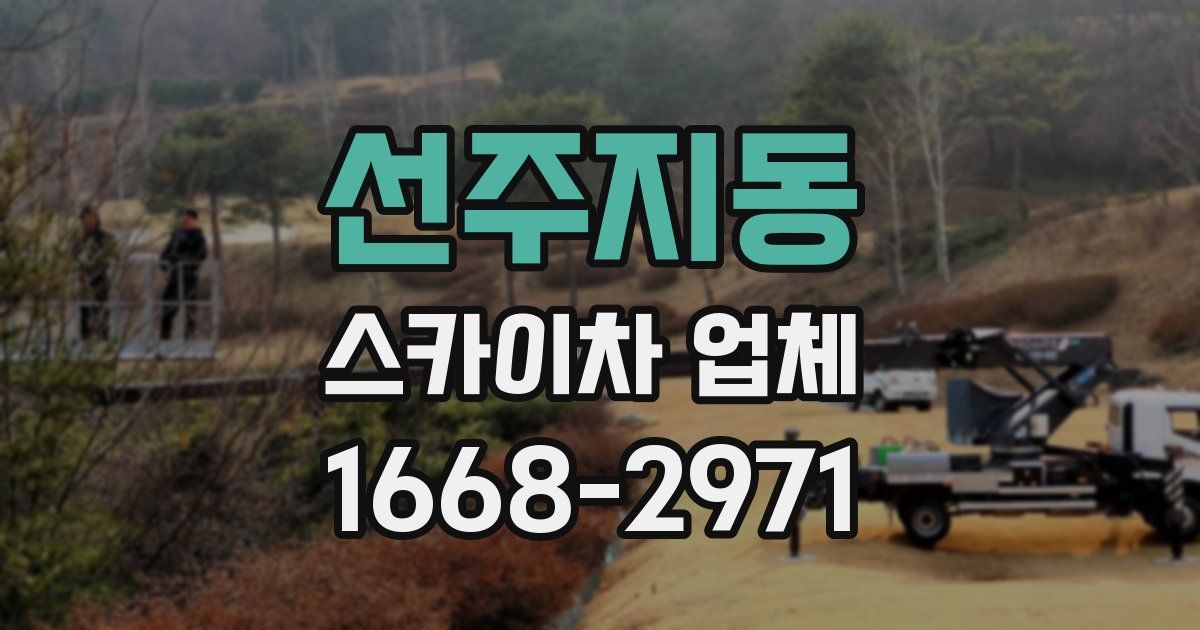 선주지동 스카이차 업체