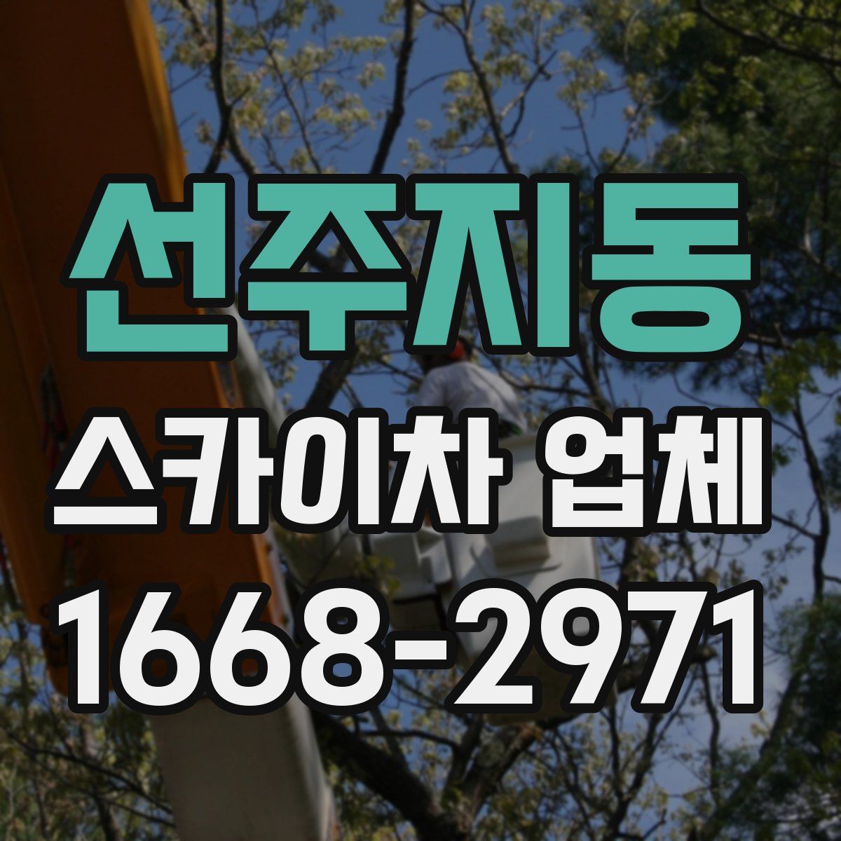 선주지동 스카이차 업체