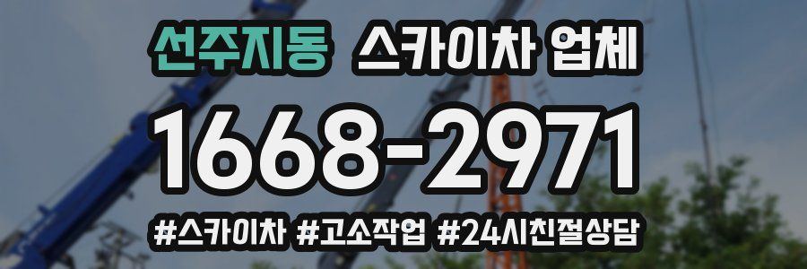 선주지동 스카이차 업체