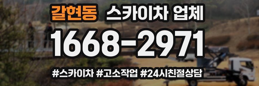 갈현동 스카이차 업체