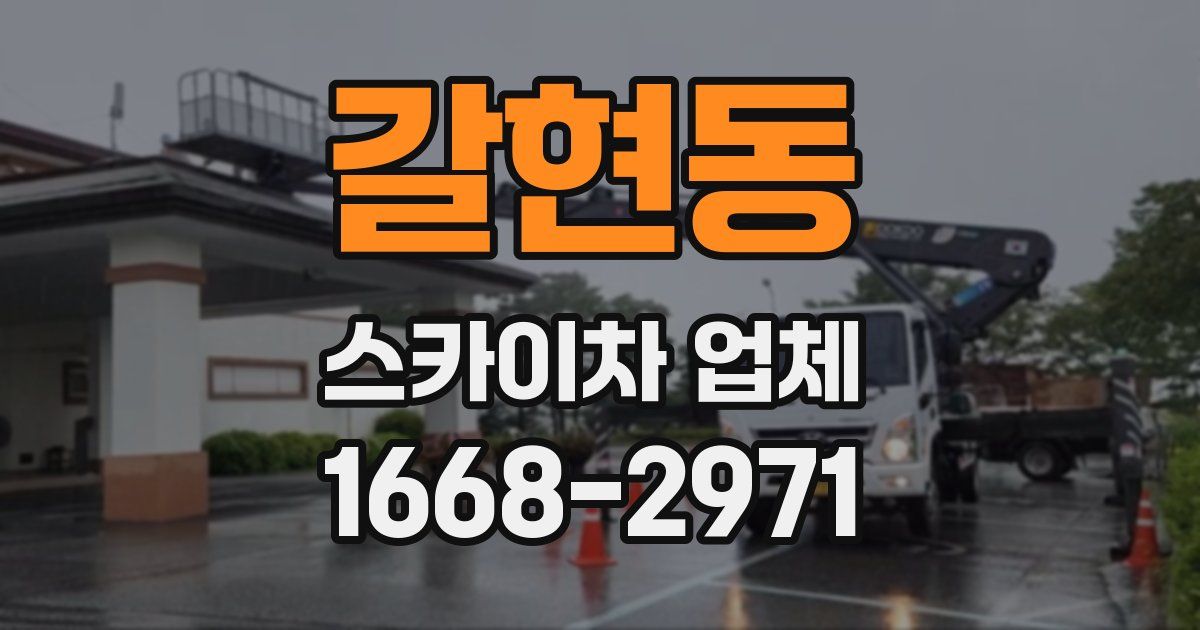 갈현동 스카이차 업체