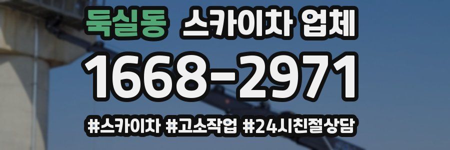 둑실동 스카이차 업체