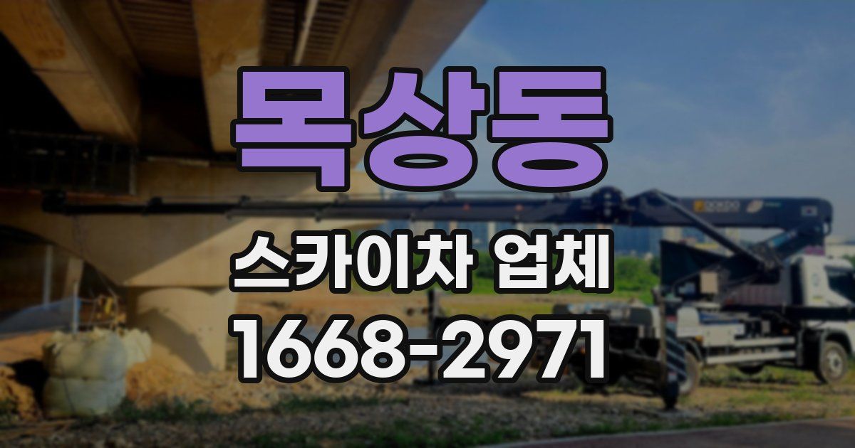 목상동 스카이차 업체