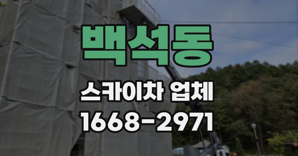 백석동 스카이차 업체