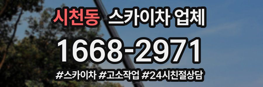 시천동 스카이차 업체