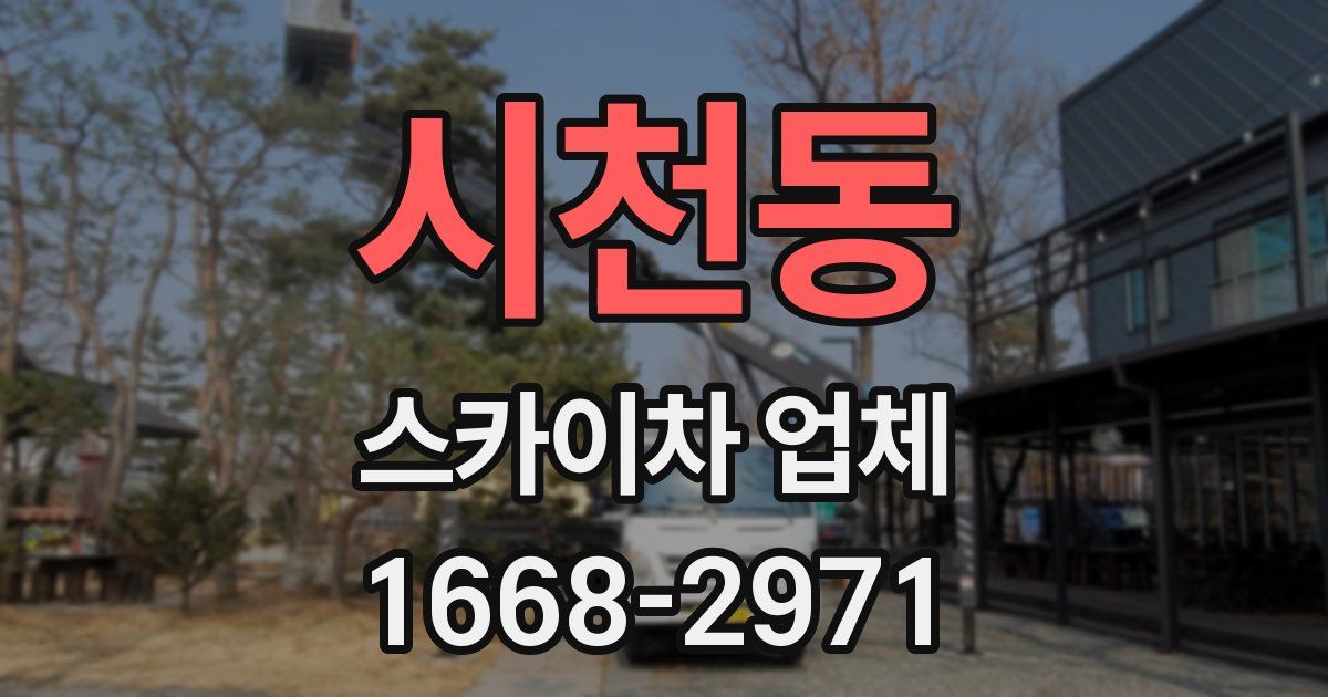 시천동 스카이차 업체