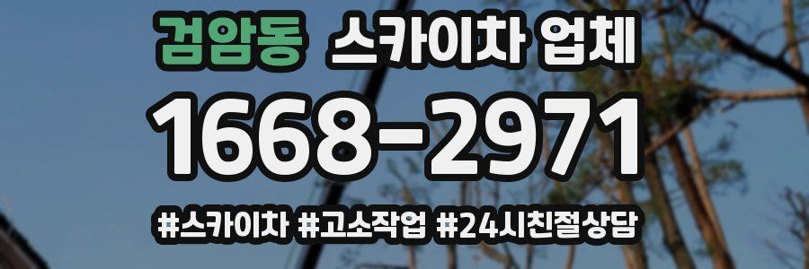 검암동 스카이차 업체