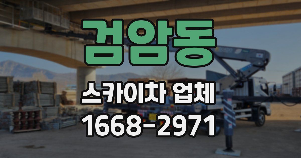 검암동 스카이차 업체