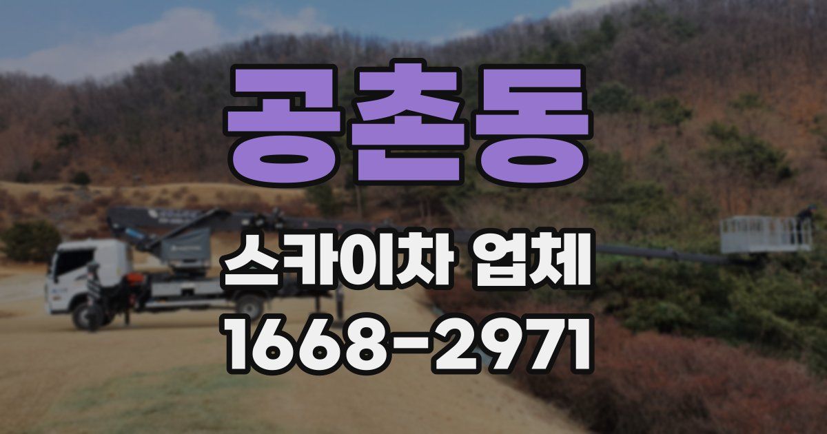 공촌동 스카이차 업체