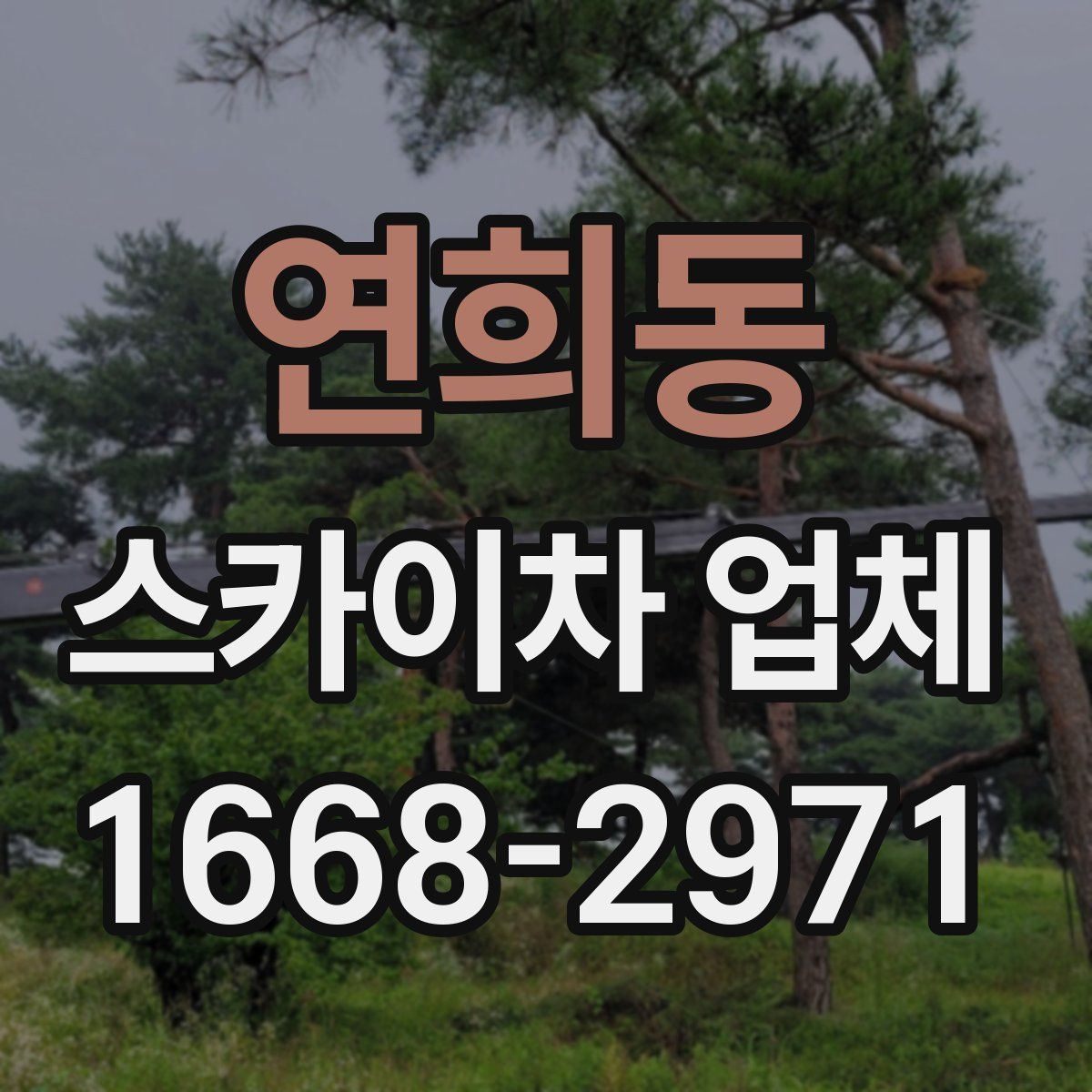 연희동 스카이차 업체