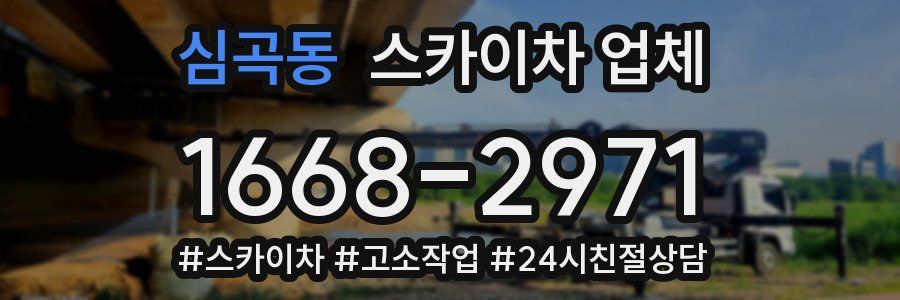 심곡동 스카이차 업체