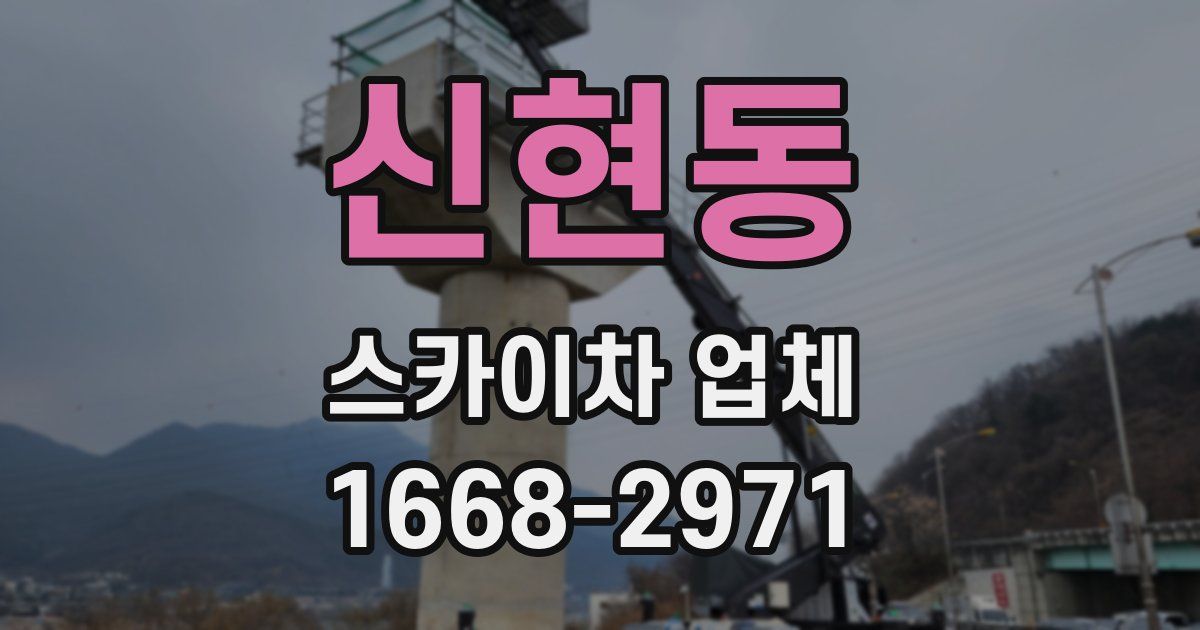 신현동 스카이차 업체
