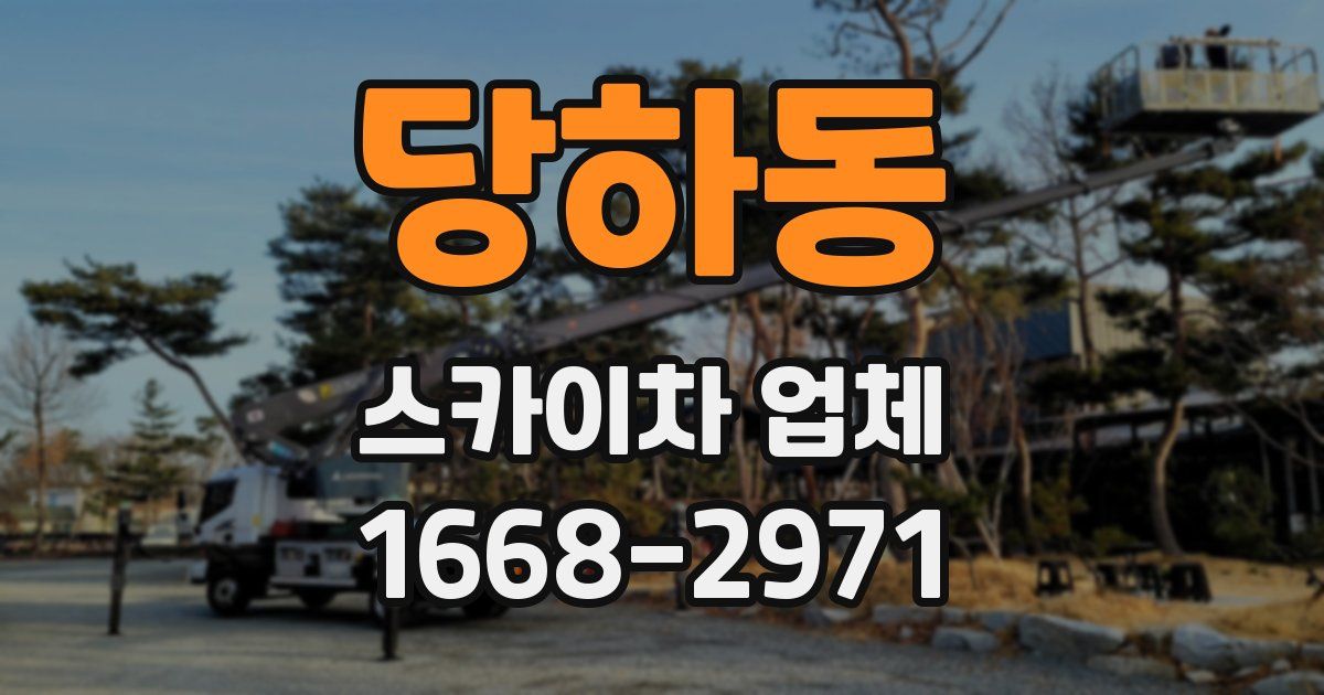 당하동 스카이차 업체