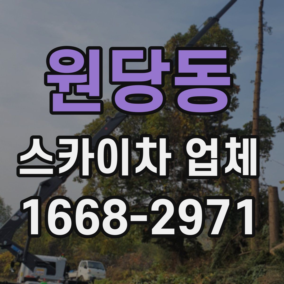 원당동 스카이차 업체