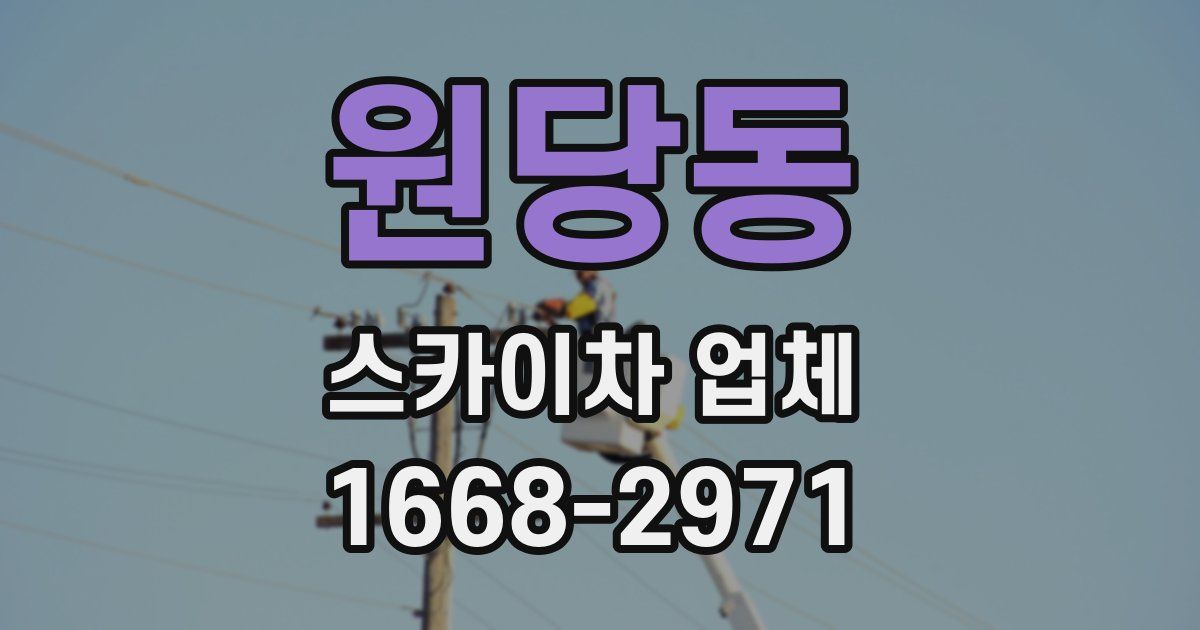 원당동 스카이차 업체