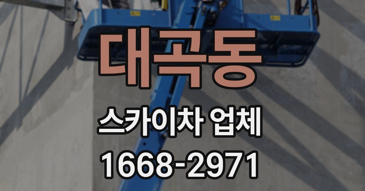 대곡동 스카이차 업체