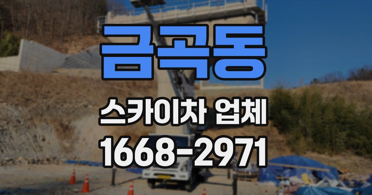 금곡동 스카이차 업체
