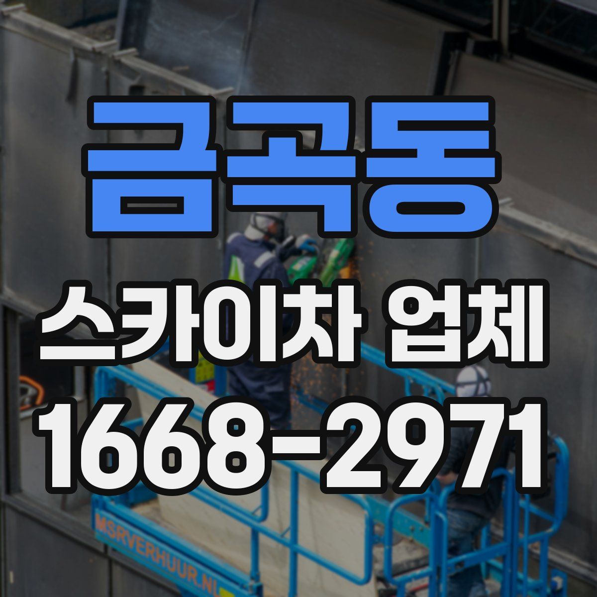 금곡동 스카이차 업체