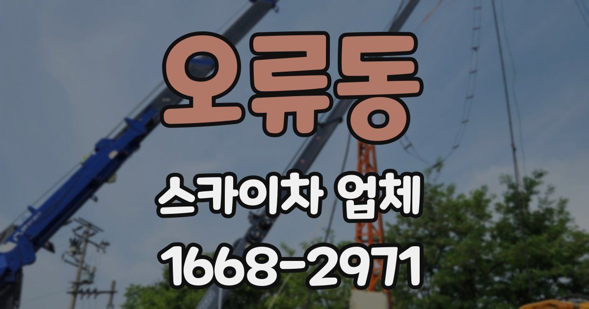 오류동 스카이차 업체
