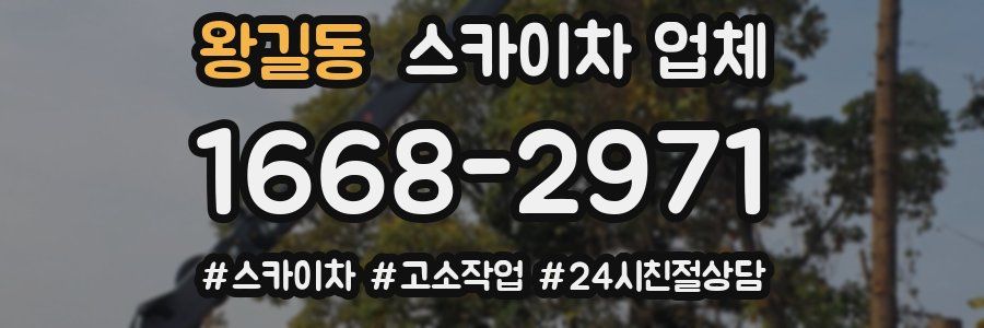 왕길동 스카이차 업체