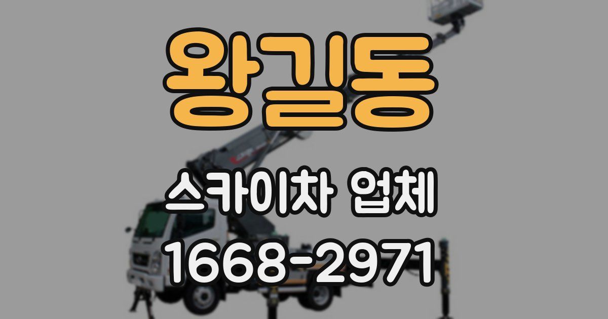 왕길동 스카이차 업체