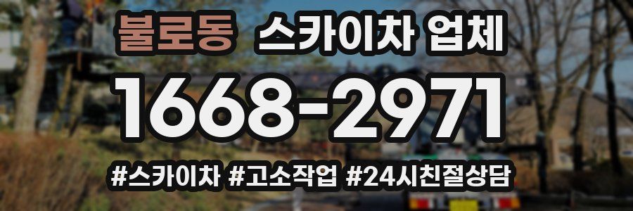 불로동 스카이차 업체