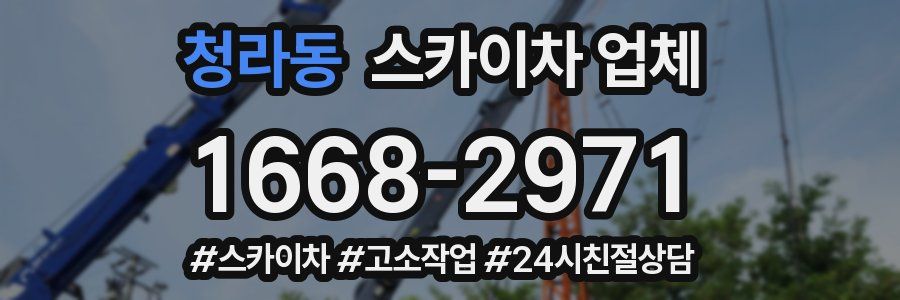 청라동 스카이차 업체