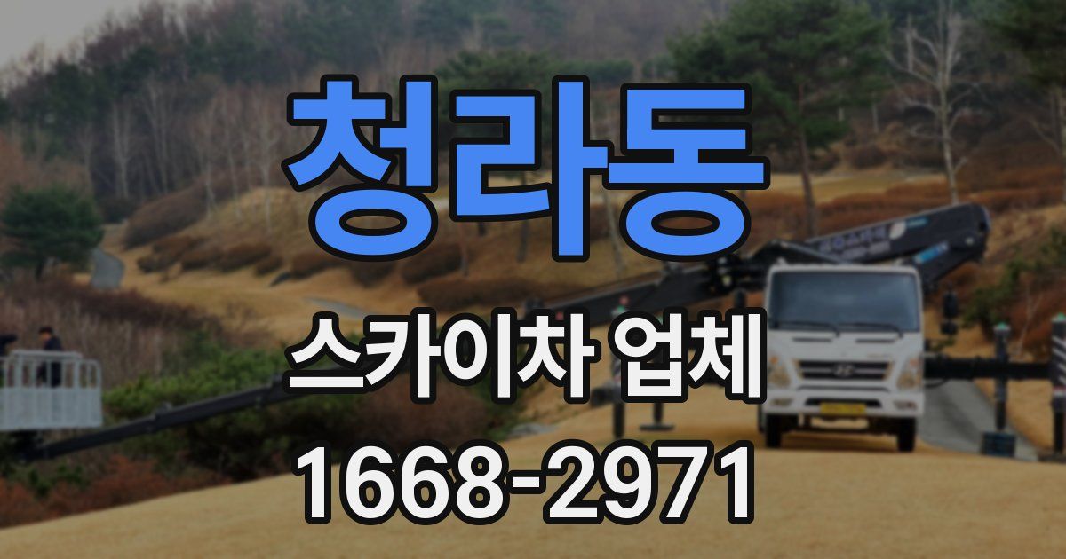 청라동 스카이차 업체
