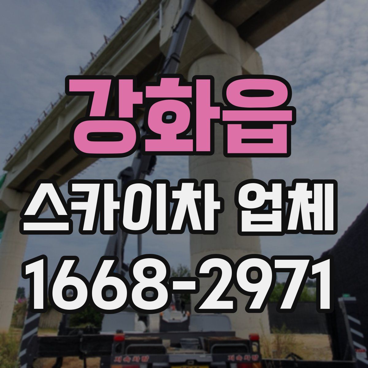 강화읍 스카이차 업체