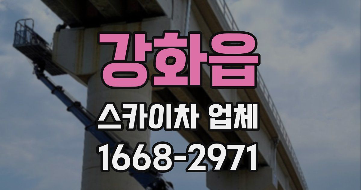 강화읍 스카이차 업체