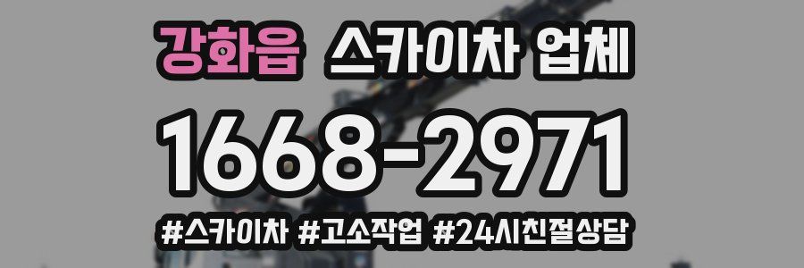 강화읍 스카이차 업체