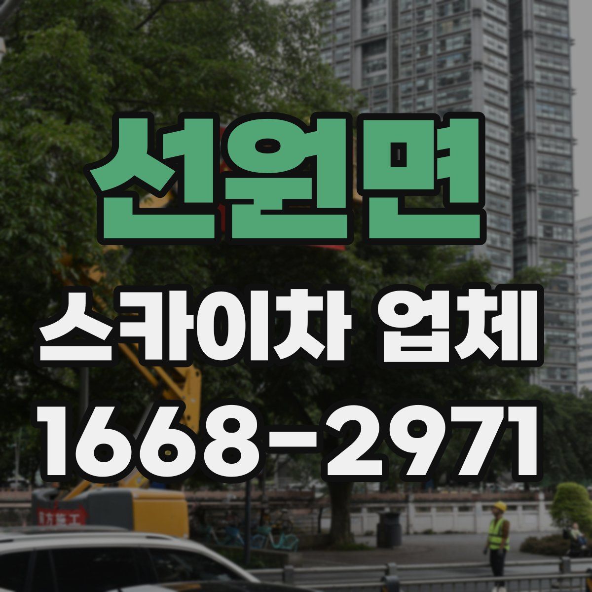 선원면 스카이차 업체