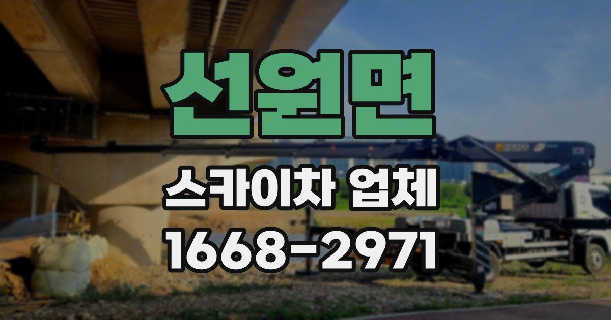 선원면 스카이차 업체