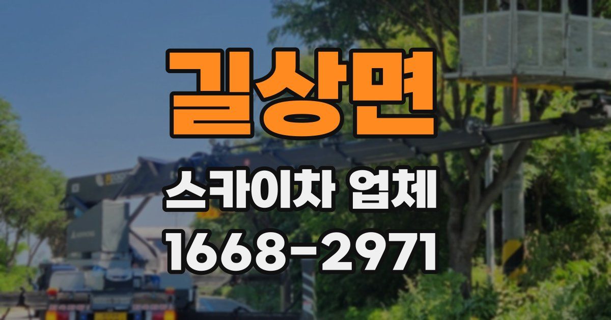 길상면 스카이차 업체