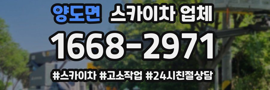 양도면 스카이차 업체