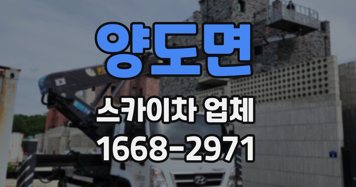 양도면 스카이차 업체