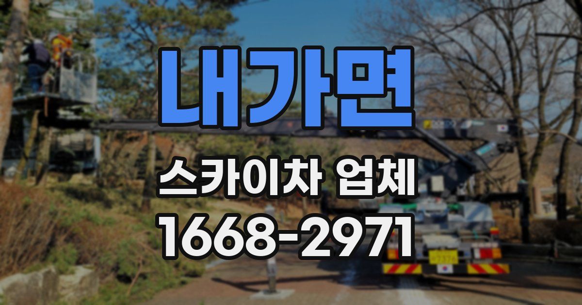 내가면 스카이차 업체