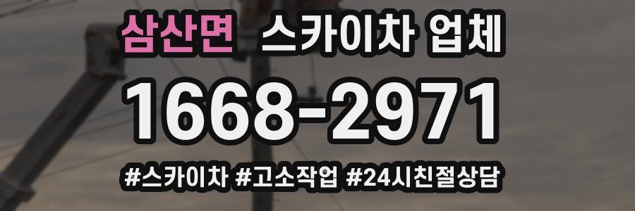 삼산면 스카이차 업체