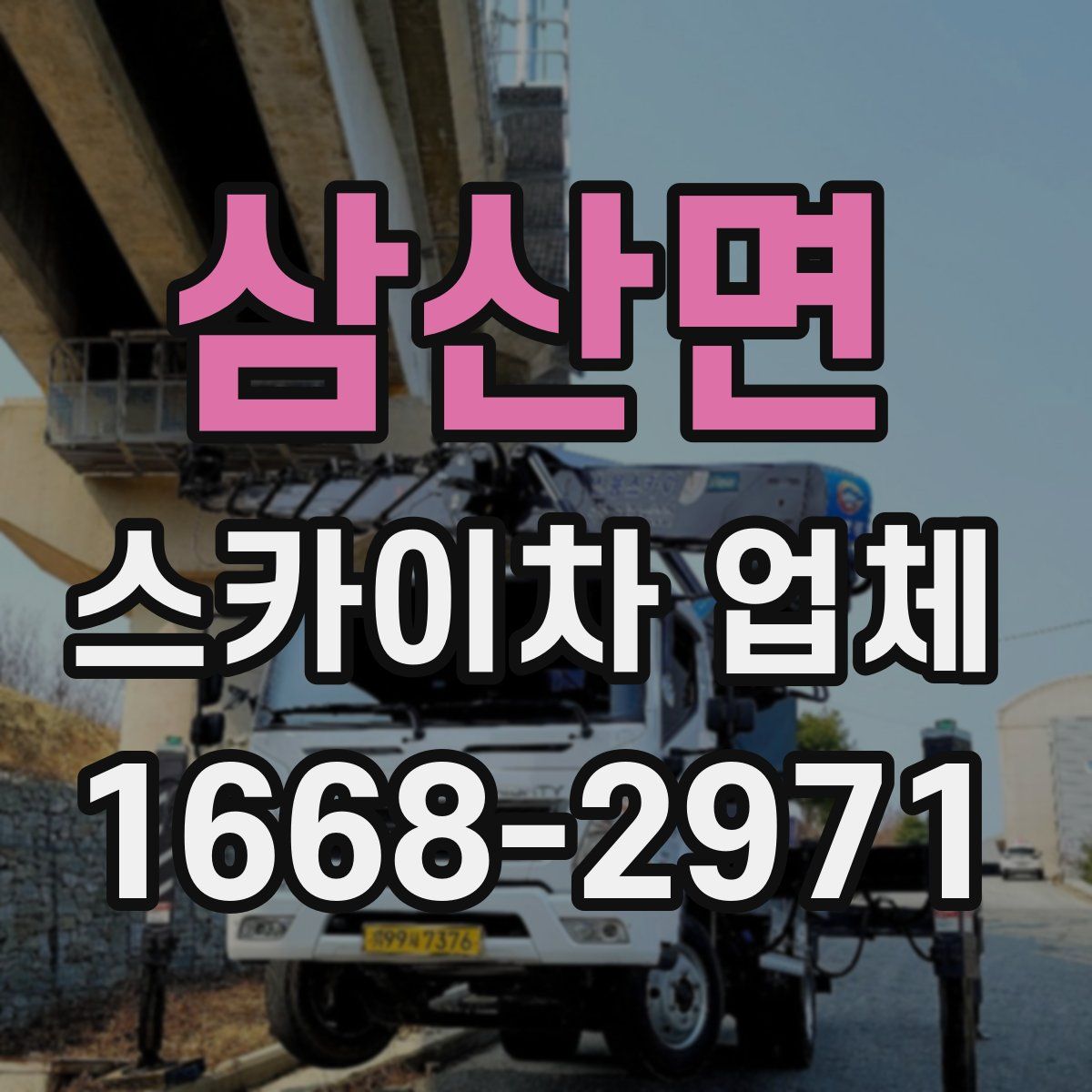 삼산면 스카이차 업체