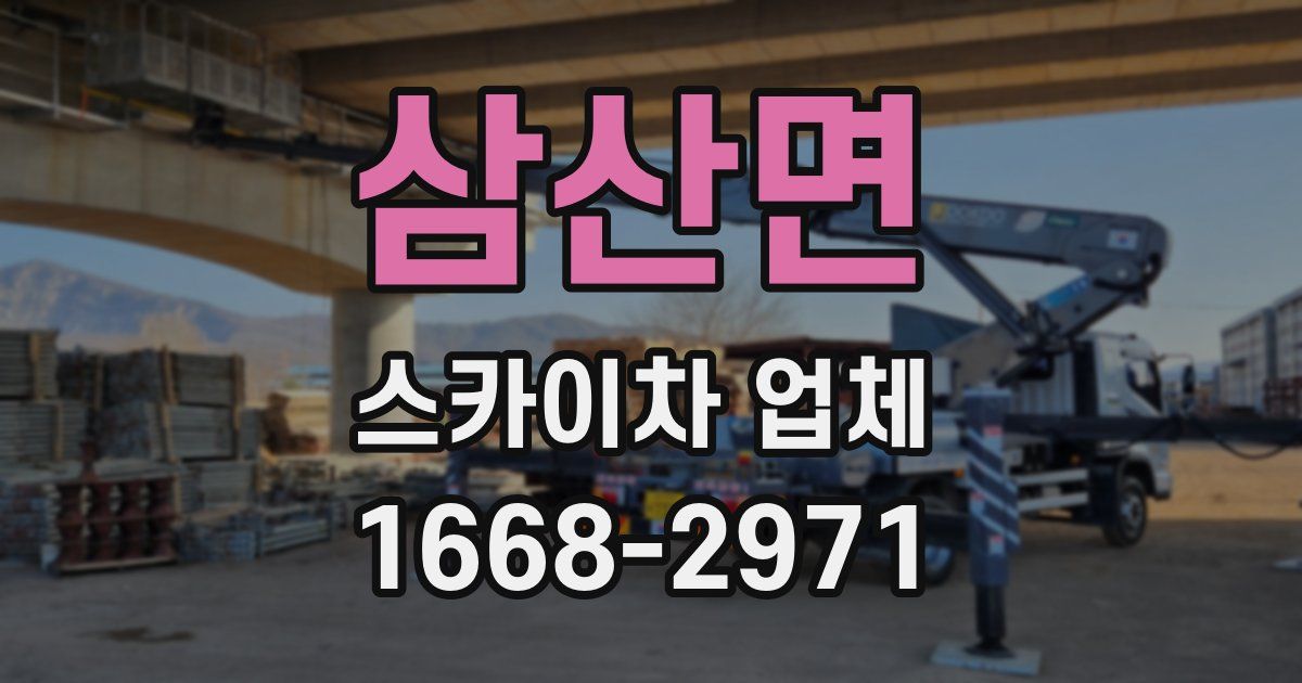 삼산면 스카이차 업체