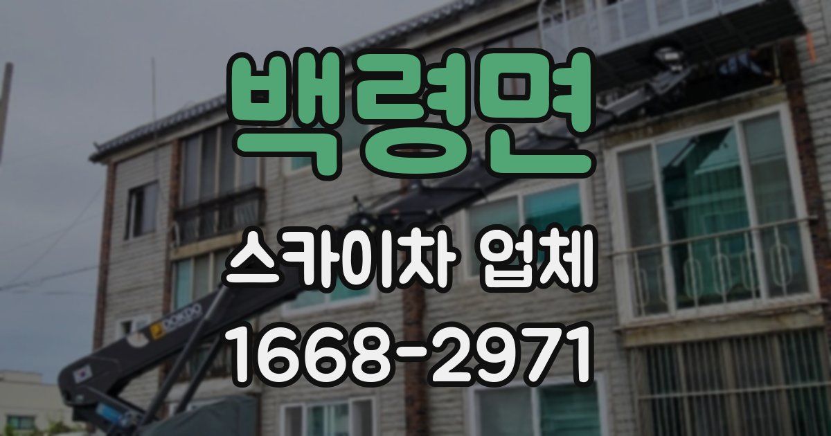백령면 스카이차 업체